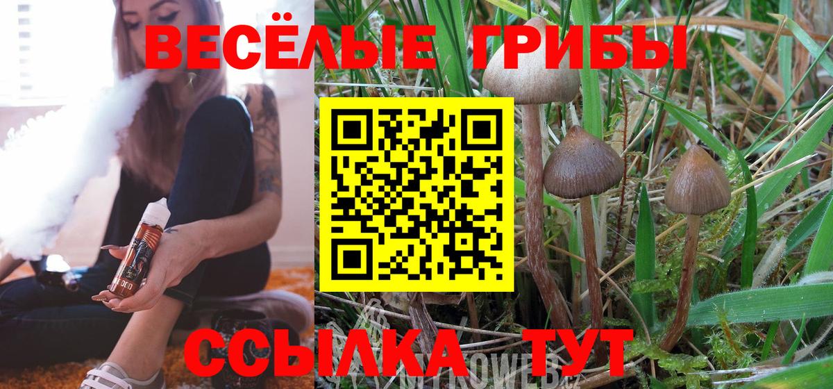 Шахты  Псилоцибиновые грибы GOLDEN TEACHER  Вход с VPN 